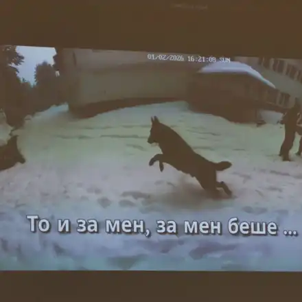 Бащата на Николай Златков с показания, че майката дала момчето на Калушев на 11 г.