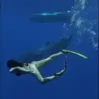 Габриела Крекманова шокира с китове в Мавриций!