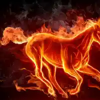 Годината на Червения oгнен кон започва на 17 февруари 2026 г.