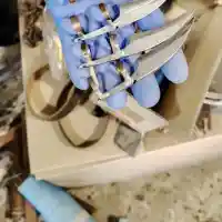 Шок! Царицата на мъченията и Детелин от Царевец зад решетките!