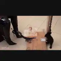 Шок! Царицата на мъченията и Детелин от Царевец зад решетките!