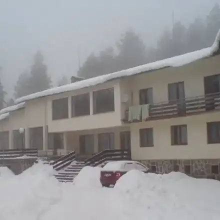 Шок! Деца в хижа 'Петрохан' - какво скрива системата?