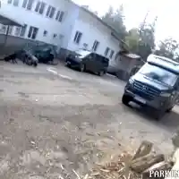 Шокиращи разкрития за смъртта на шестима в Петрохан!