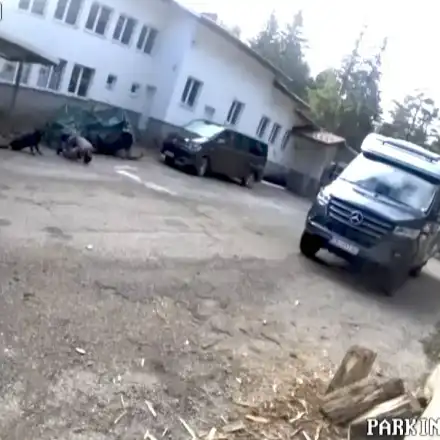 Шокиращи разкрития за смъртта на шестима в Петрохан!