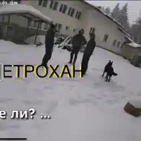 Шок и скандал: Последните думи на тримата мъже от "Петрохан" разкриха тайни!