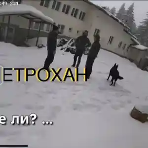 Шок и скандал: Последните думи на тримата мъже от "Петрохан" разкриха тайни!