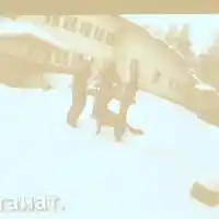 Шок и скандал: Последните думи на тримата мъже от "Петрохан" разкриха тайни!