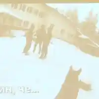 Шок и скандал: Последните думи на тримата мъже от "Петрохан" разкриха тайни!