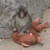 Шокиращи зимни пътешествия, които ще променят живота ти!