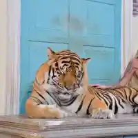 Скандал! Сузанита отново бременна в Тайланд?