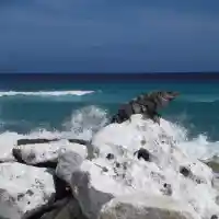 Шокиращи тайни: Пътувай отвъд границите на познатото!