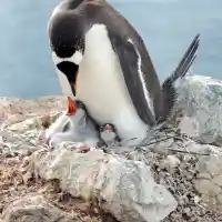 Шокиращи тайни за пътуване, които не подозирахте!