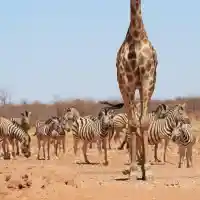 Шокиращи тайни за пътуване, които не подозирахте!