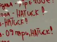 Шок! Бандата на Близнаците измъчвала жертви с електрошок и кучета!