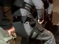 Шок! ГДБОП разбива своднически мрежи в Банско!