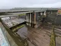 Шок! Жена скочи в язовир, за да спаси кучето си!