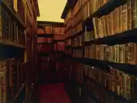 Шокираща находка: Забравена книга от Средновековието озадачи учените!