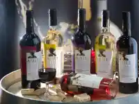 Българска изба с рекордни отличия от френски конкурс