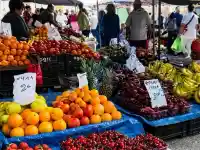 Икономически абсурд: В Гърция зехтинът е 7 евро, а в България двойно по-скъп!