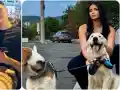 Скандалът на годината: Юлита отмъкна кучетата на Алекс Николов!