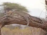 Шокиращи тайни за пътуванията, които никой не знае!