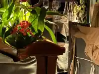 Цеца и италианския секссимвол: Искри хвърчат в Белград!