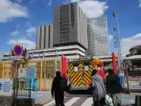 Шок! Французойка с хантавирус в критично състояние в Париж!