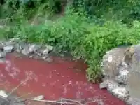 Кървава река тече в Странджа