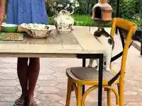 Мария Игнатова и нейната котка свекърва: Шокиращи детайли от кухнята!