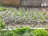 Поройни дъждове и градушки удариха страната, мълния запали къща (снимки/видео)