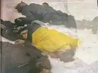 Потулиха записите от груповото самоубийство пред хижа „Петрохан“