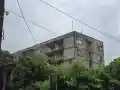 Тройна смърт в Угърчин: Шокираща любовна драма!