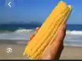 Шок! Цената на царевицата на плажа вдигната до 4 евро!