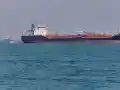 Шокираща новина: ОАЕ изнася рекордни количества петрол!