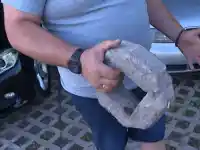Скандал в София: Паве разруши автомобил на паркинг!
