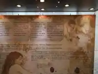 Скандалното Горнославско съкровище шокира Пловдив!