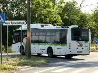 Катастрофалният сблъсък на Челопешко шосе: Шокиращи детайли!