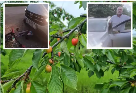 Вълна от възмущение след случая в Лесново: мъж прегази колелото на 9-годишно дете заради откъснати череши