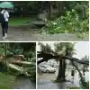 Шок! Бурята в София остави 100 сигнала за бедствие!