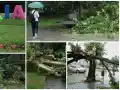 Шок! Бурята в София остави 100 сигнала за бедствие!