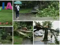 Шок! Бурята в София остави 100 сигнала за бедствие!