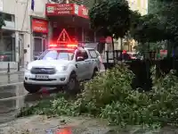 Шок! Бурята в София остави 100 сигнала за бедствие!
