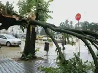 Шок! Бурята в София остави 100 сигнала за бедствие!