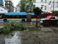 Шок! Бурята в София остави 100 сигнала за бедствие!