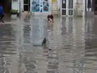 Скандал! Източна България потъна в хаос след буря!