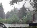 Шок! Бурята в София събори дървета и остави хаос!