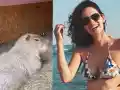 Скандал: Даяна Ханджиева с капибара в зоопарка!