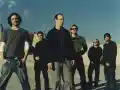 Шок! Bad Religion искат кисело мляко преди концерта в България!