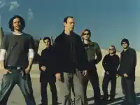 Шок! Bad Religion искат кисело мляко преди концерта в България!