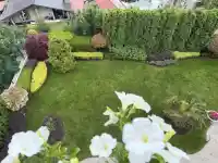 Шок! Жоро Игнатов разкрива тайния си оазис в София!